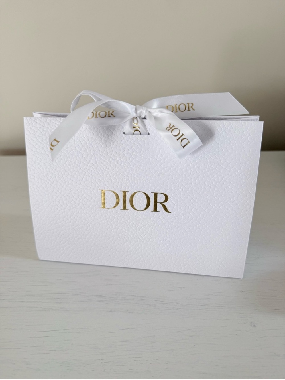 Dior Small Gift Bag with Ribbon